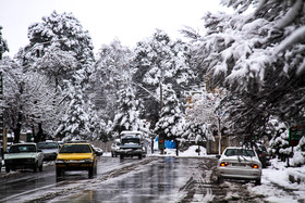 بارش برف در کرمان